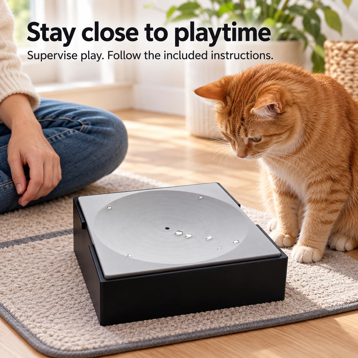 Ginger cat observing the toy during supervised indoor play