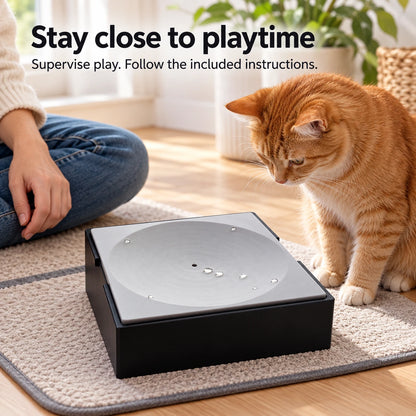 Ginger cat observing the toy during supervised indoor play